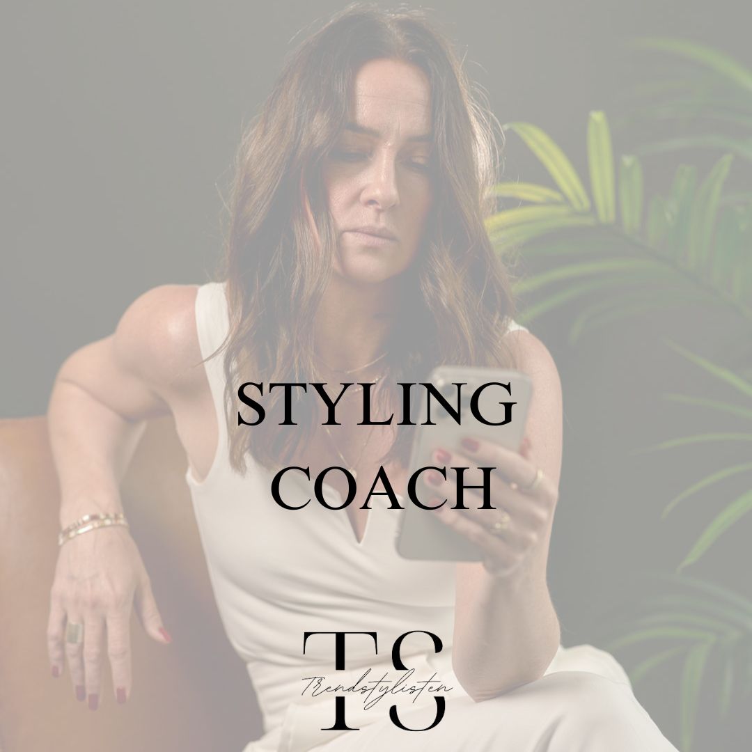 Styling Coach 3